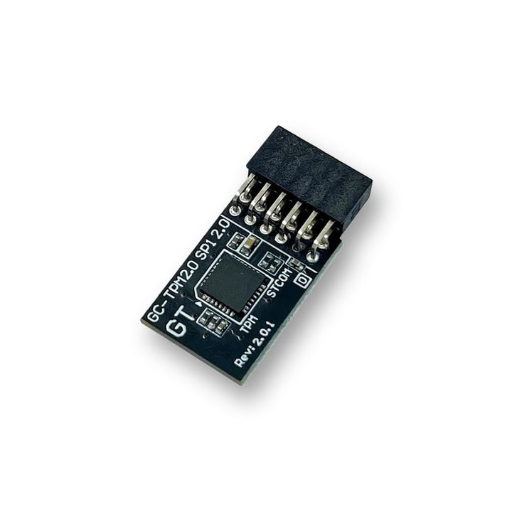 TPM 2.0 SPI 12pin SLB9670 Sicherheitsmodul für GIGABYTE B650 Gaming X AX, B650E AORUS, B650M Gaming,