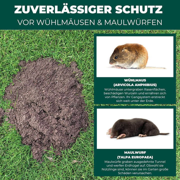 Silberkraft Wühlmaus- & Maulwurf-Vertreiber Granulat 200g - Repellent zur Vertreibung über Duftstoff