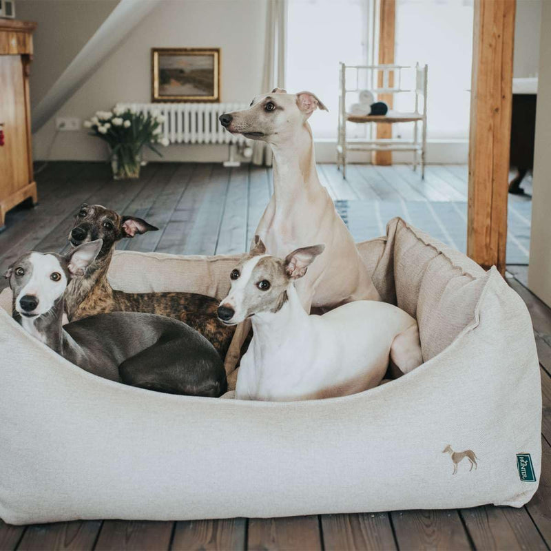 HUNTER Livingston Hundesofa, Hundebett, Strukturstoff, klassisch, S, beige, 60 x 40 x 20 cm beige 60