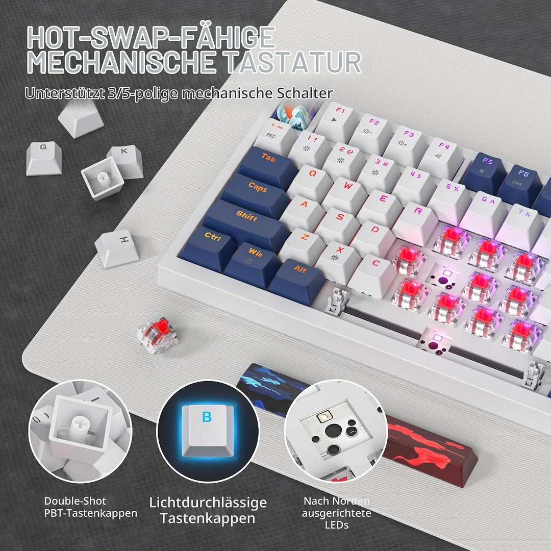 SOLIDEE Verkabelte 75% Mechanische Gaming-Tastatur,hot-swap-fähige Mechanische Tastatur mit Gasket S