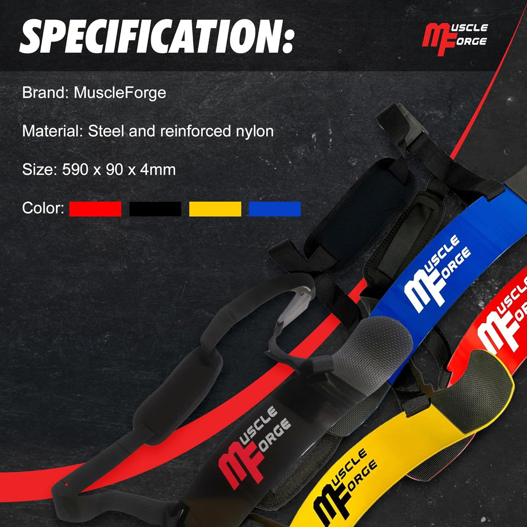 MuscleForge® Bizeps-Trainer Arm Blaster, Bizeps Isolator für eine optimale Isolierung der Bizeps und