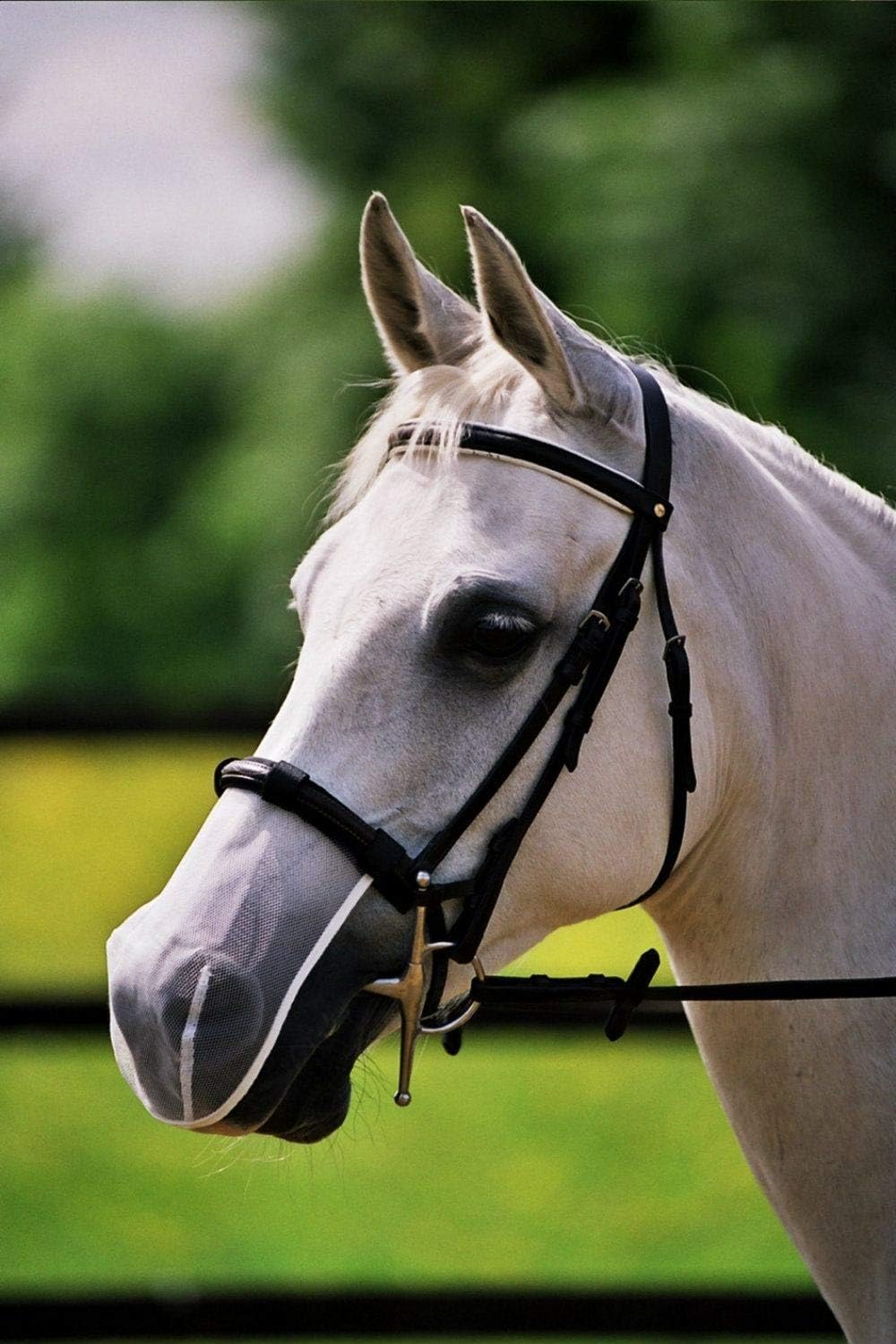 Equilibrium Net Relief for Head Shakers Muzzle Fly Mask, M/L