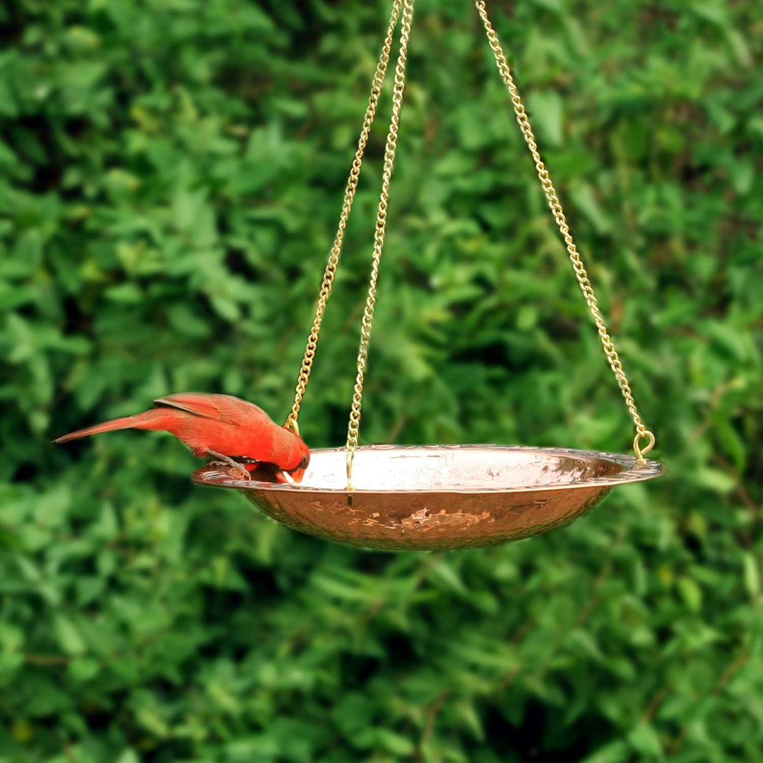 Good Directions Vogeltränke aus reinem Kupfer, zum Aufhängen, 34,3 cm Durchmesser, mit Messingkette,