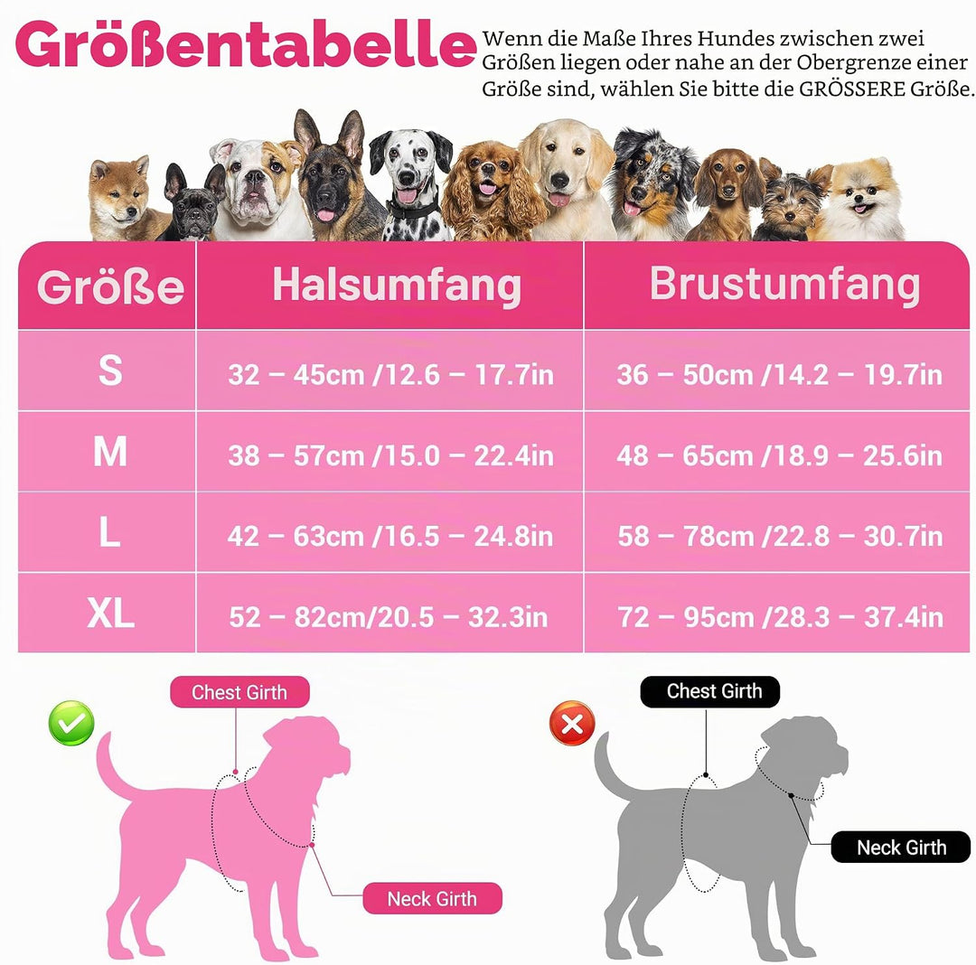 Funfox Hundegeschirr Mittelgrosse Hunde [M] - Verstellbares Anti-Zug Brustgeschirr mit Griff &amp; Refle