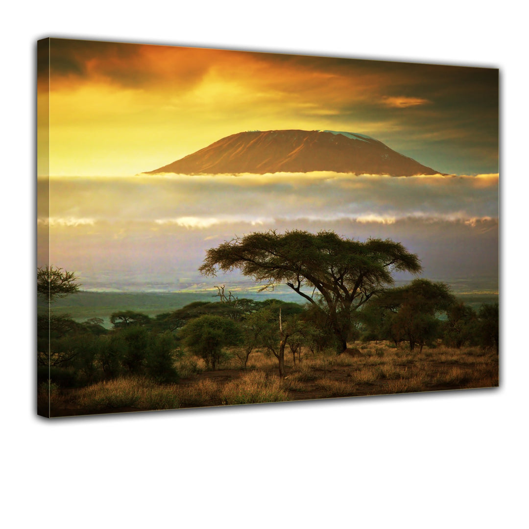 Bilderdepot24 Bild auf Leinwand | Kilimandscharo mit Savanne in Kenya - Afrika in 70x50 cm als Wandb