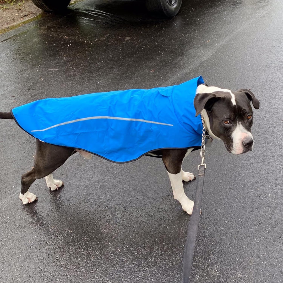 Mile High Life Hunderegenmantel Einstellbare wasserdichte Haustierkleidung Leichte Regenjacke mit re