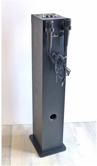 Inovalley Soundturm HP49CD 100 W