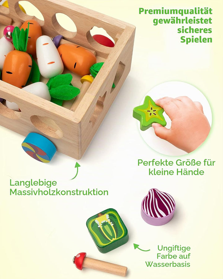 Coogam Montessori Spielzeug, Feinmotorik Spielzeug ab 1 2 3 Jahr | hölzerne Form Sortierer Karotte E