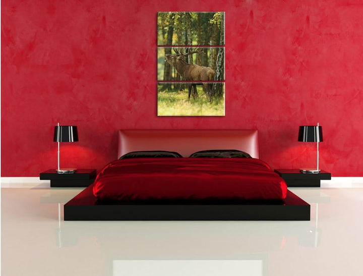 Pixxprint Hirsch im Wald 3-Teiler Leinwandbild 120x80 Bild auf Leinwand