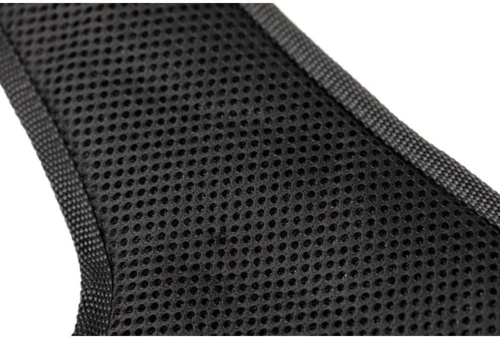 PetSafe EasySport Geschirr, Elastischer Halsausschnitt, Gepolsterter Griff, Für Hunde von 29,5 bis 3