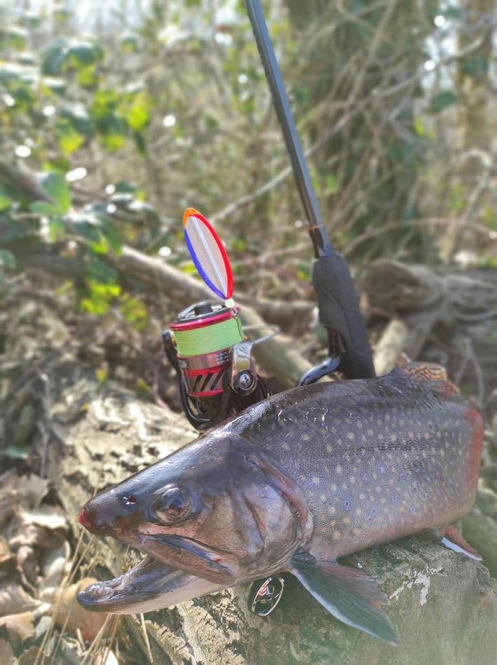 Major Fish Forellen Box 50-teilig Forellenköder Geschenk für Angler