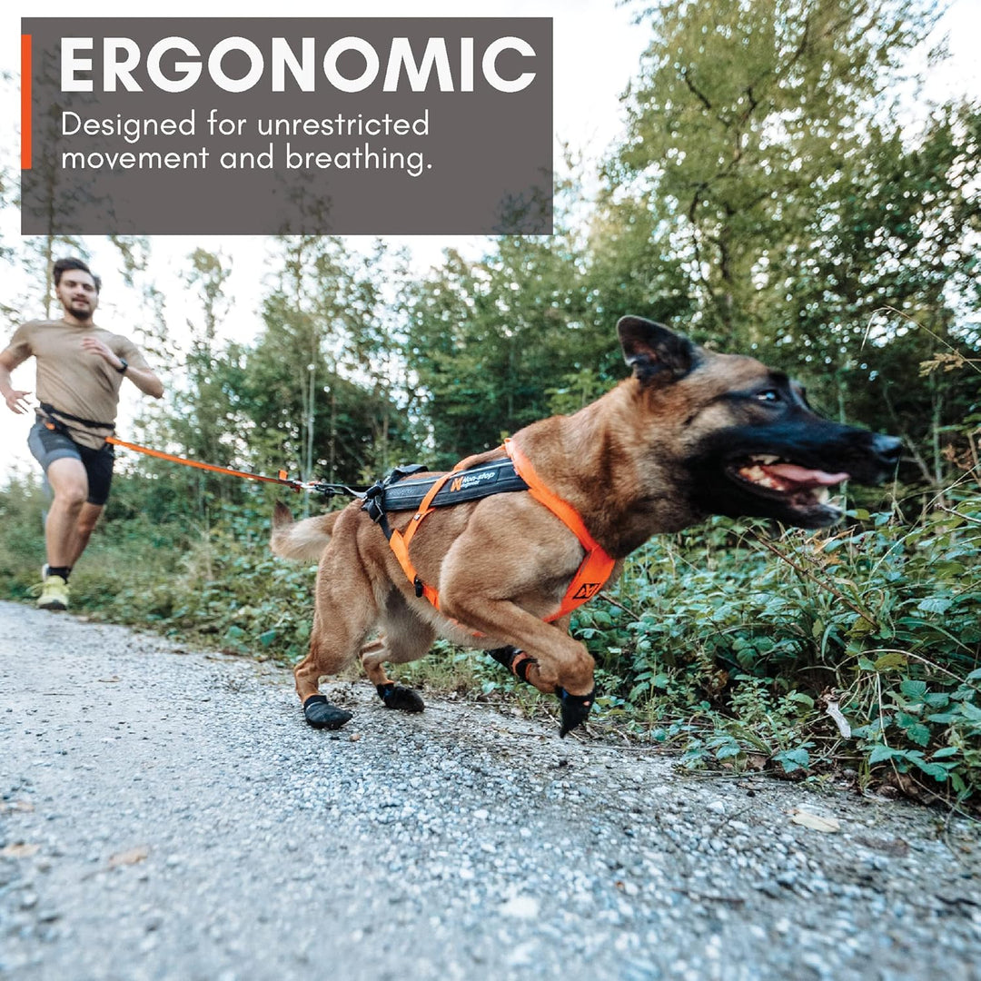 Non-Stop dogwear Freemotion Harness 5.0 | Hunde-Geschirr für alle Sportarten, Grösse:Grösse 8 schwar