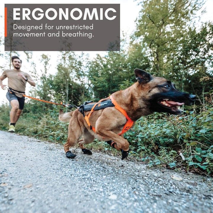 Non-Stop dogwear Freemotion Harness 5.0 | Hunde-Geschirr für alle Sportarten, Grösse:Grösse 8 schwar
