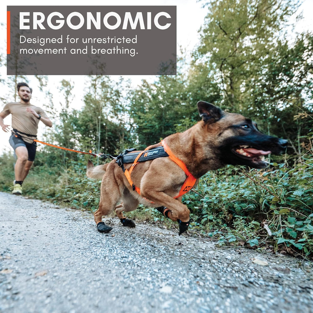 Non-stop dogwear FREEMOTION Harness 5.0 |111| Blue/Grey | Hunde-Geschirr für alle Sportarten, Grösse