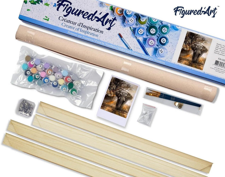 Figured'Art Malen Nach Zahlen Erwachsene Mit Rahmen Einsamer Elefant - Paint by Numbers Basteln DIY