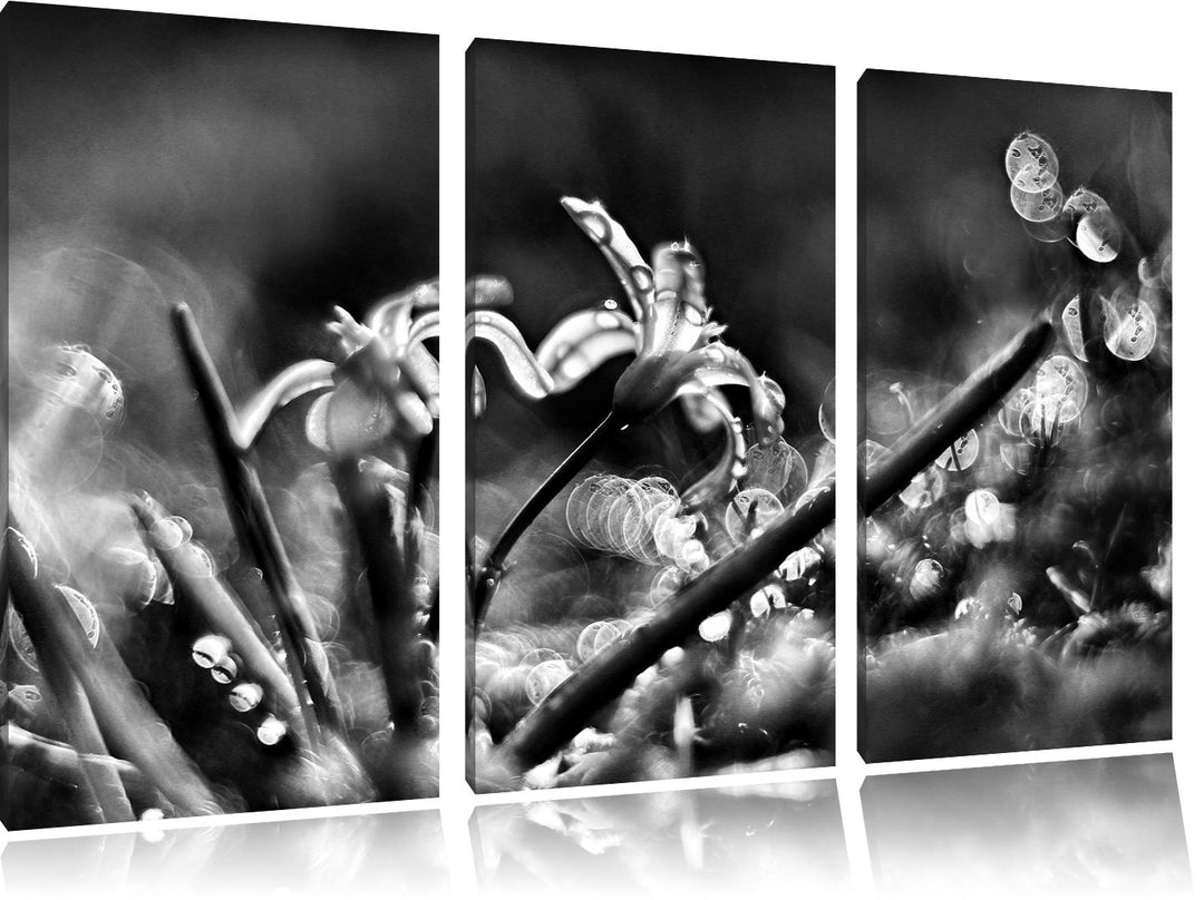 Pixxprint Wiesenblumen Morgentau / 3-Teilig/Gesamtmass 120cm Leinwandbild bespannt auf Holzrahmen/Wa