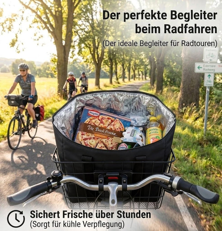 Nvseaty Kühltasche Faltbar 20L - Hält Ihre Lebensmittel Frisch und Kühl - Perfekt für Camping und Pi
