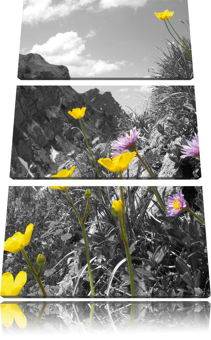 Pixxprint Traumhafte Blumenwiese im Frühling schwarz/weiss 3-Teiler Leinwandbild 120x80 Bild auf Lei