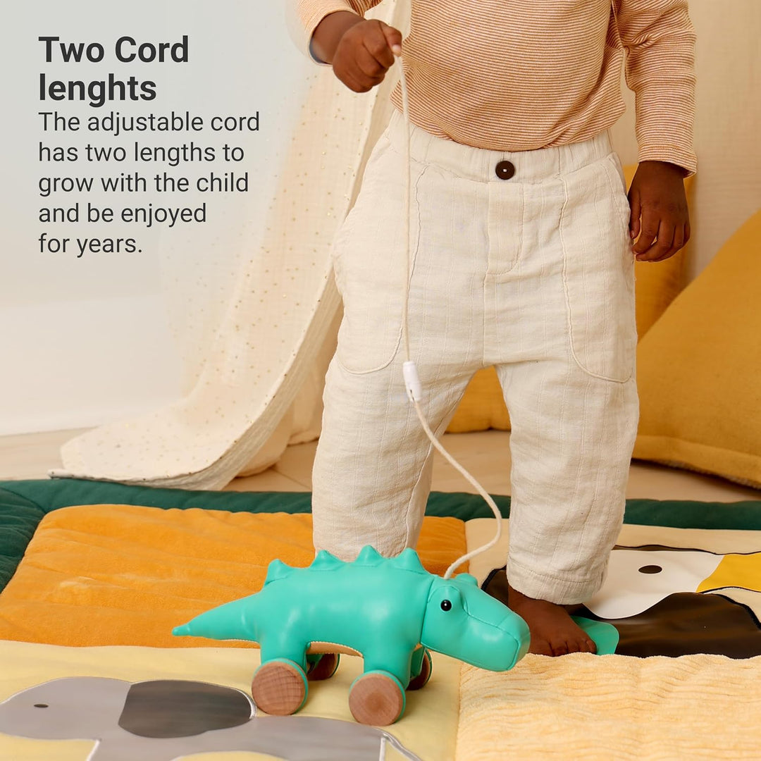 Little Big Friends Pull Along Friends | Pull Along Toy for Baby | Traditional Toys | Easy to Clean |