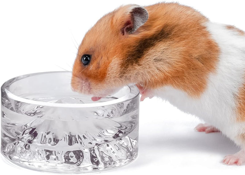 Niteangel Hamster-Futter- und Wasserschalen – Kleine Tier-Trinkschalen aus Glas für Zwerghamster, Wü