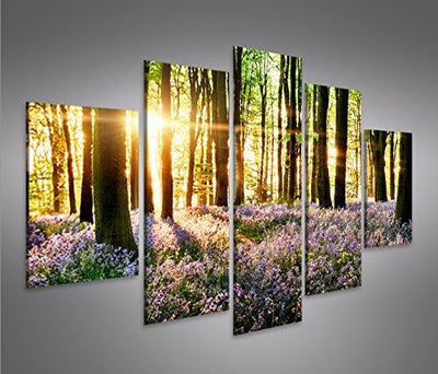 islandburner Bild Bilder auf Leinwand Lavendel im Wald MF XXL Poster Leinwandbild Wandbild Dekoartik