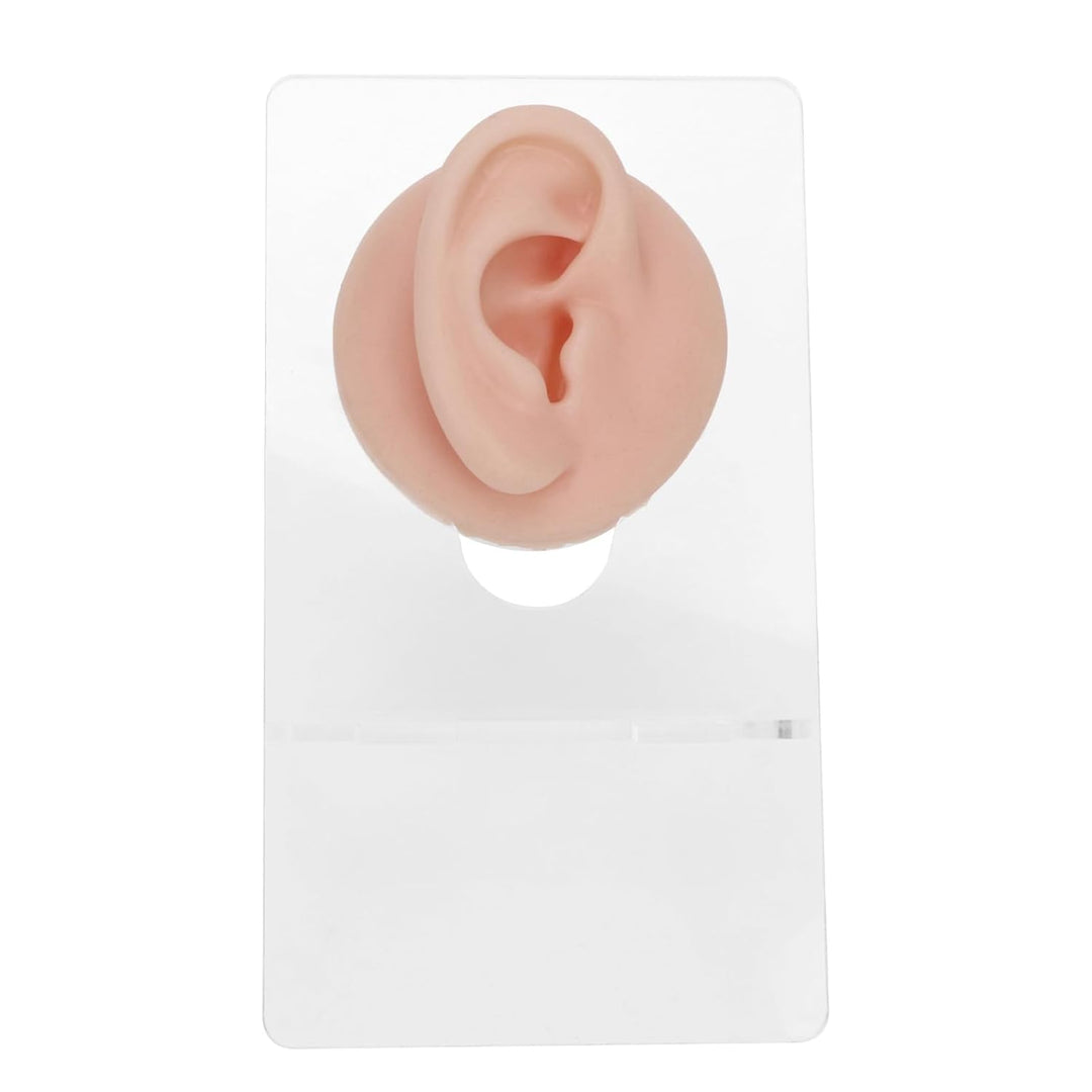Silikon-Piercing-Körpermodell, Piercing-Körperteil-Modell mit Präsentationsständer, Weiches Silikon-