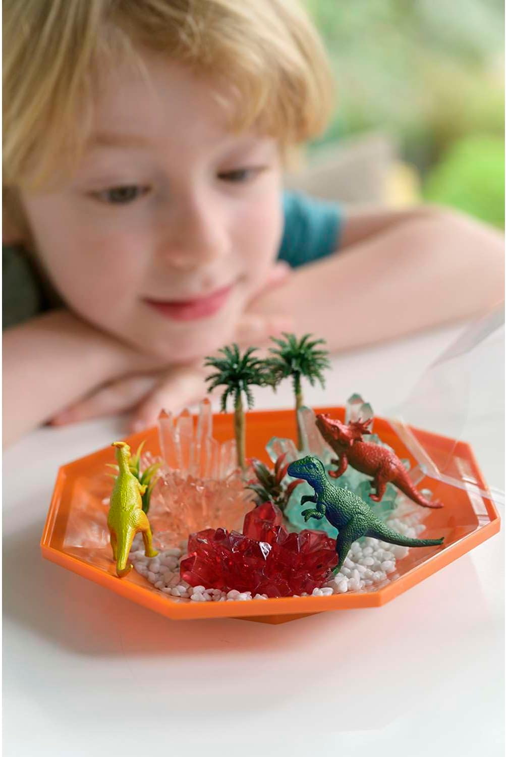 4M Crystal Growing: Kristalle züchten: Dinosaurier Kristall-Terrarium - Experimentierkasten Kinder a