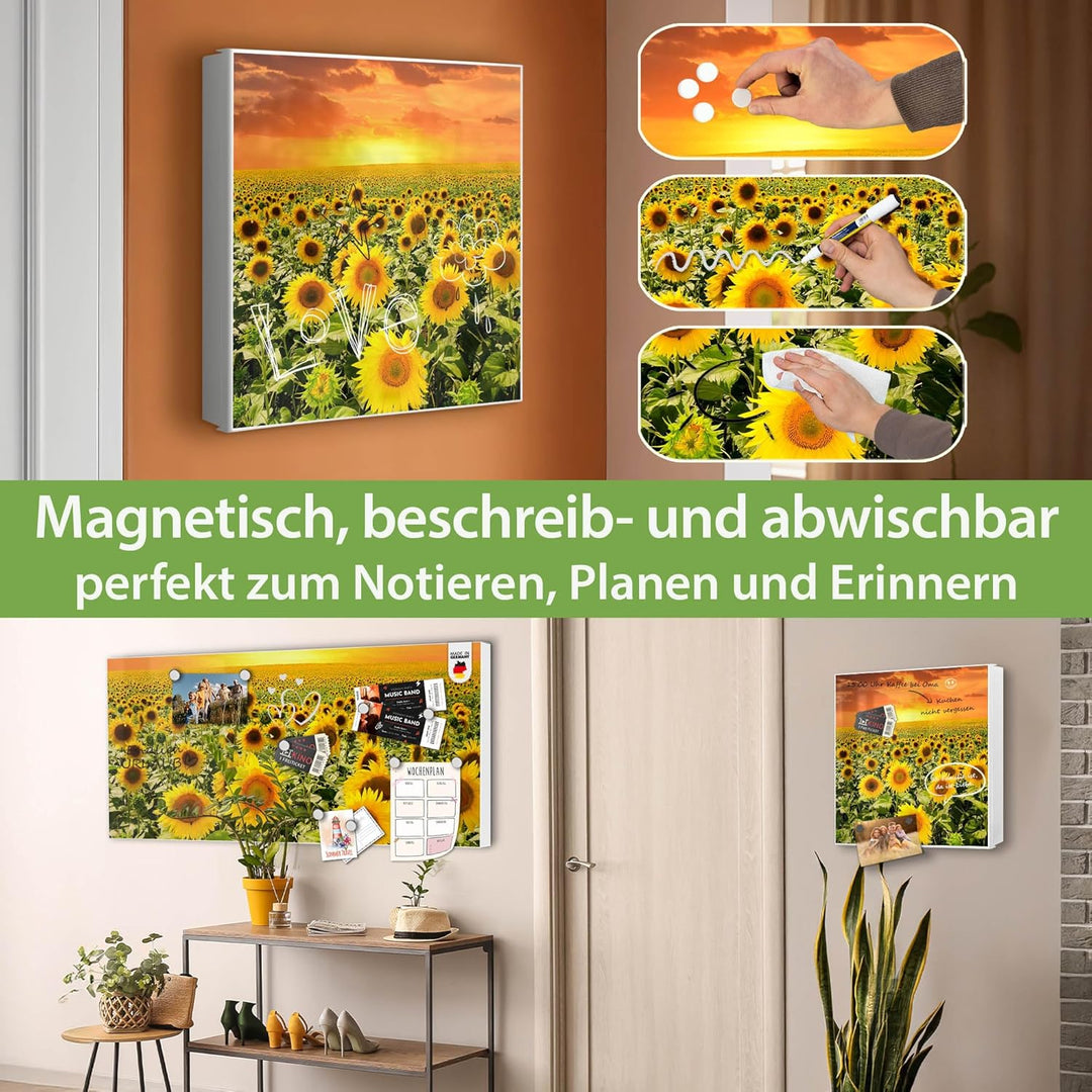 banjado® Grosser Schlüsselkasten Glas/Schlüsselbox 30cm x 30cm mit 50 Haken - Motiv Sonnenblumenmeer