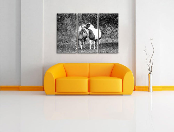 Pixxprint Zwei schmusende Pferde Kunst B&W als Leinwandbild/Grösse: 3 Teilig (120x80) cm/Wandbild/Ku