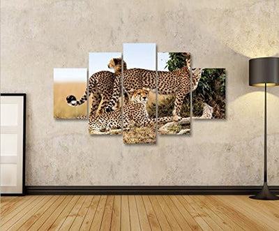 islandburner Bild Bilder auf Leinwand Gepard Geparden Raubkatze MF XXL Poster Leinwandbild Wandbild