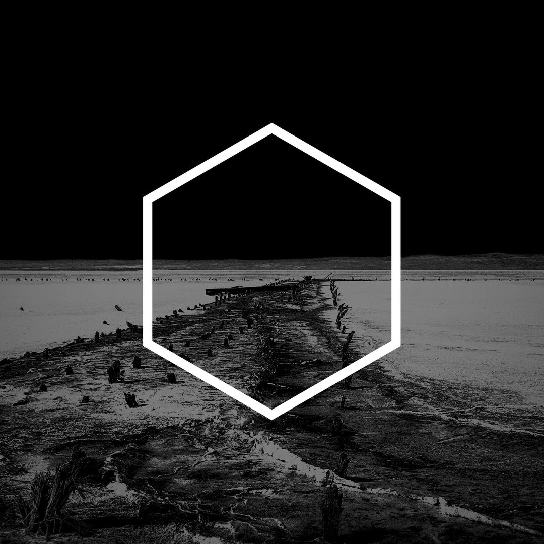 The Dark Places of the Earth, Vinyl