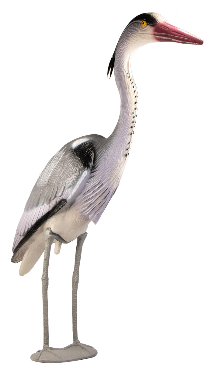 mgc24® Fischreiher Kalle - Gartendeko Tierfigur Teichfigur Reiherschreck Vogelabwehr, Fischreiher