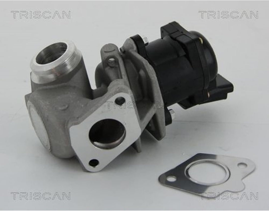 TRISCAN 8813 10010 AGR-Ventile