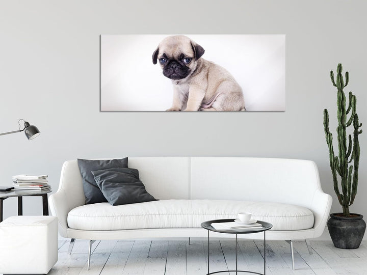 Glasbild Panorama | Wandbild aus Echtglas | Kleiner Hundewelpe Mops | 100x40 cm | inkl. Aufhängung u