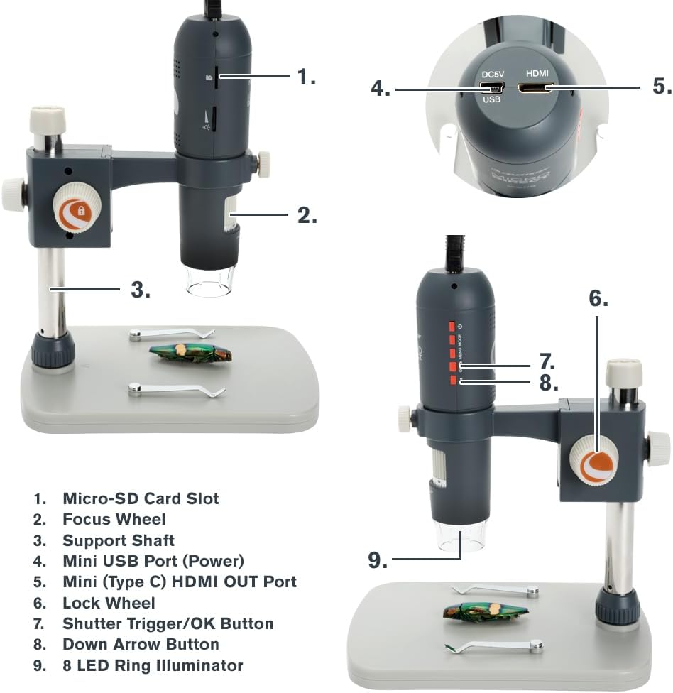 Celestron 44316 MicroDirect 1080P HDMI digitales Hand-Mikroskop, 10- bis 220-fache Vergrösserung, Gr