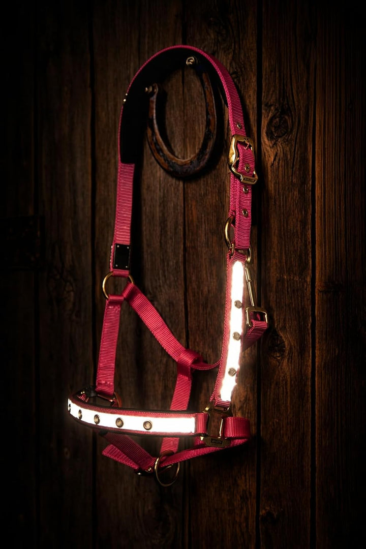 Reinecke Equestrian Premium Leuchthalfter Reflexhalfter Sicherheitshalfter Stallhalfter Weidehalfter