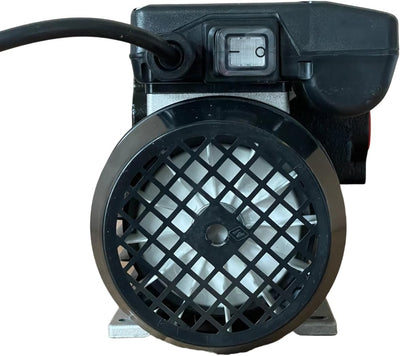 230V Dieselpumpe Panther 72 Betankungspumpe Flügelzellenpumpe mit Filter 70 lmin Industrielle, Indus