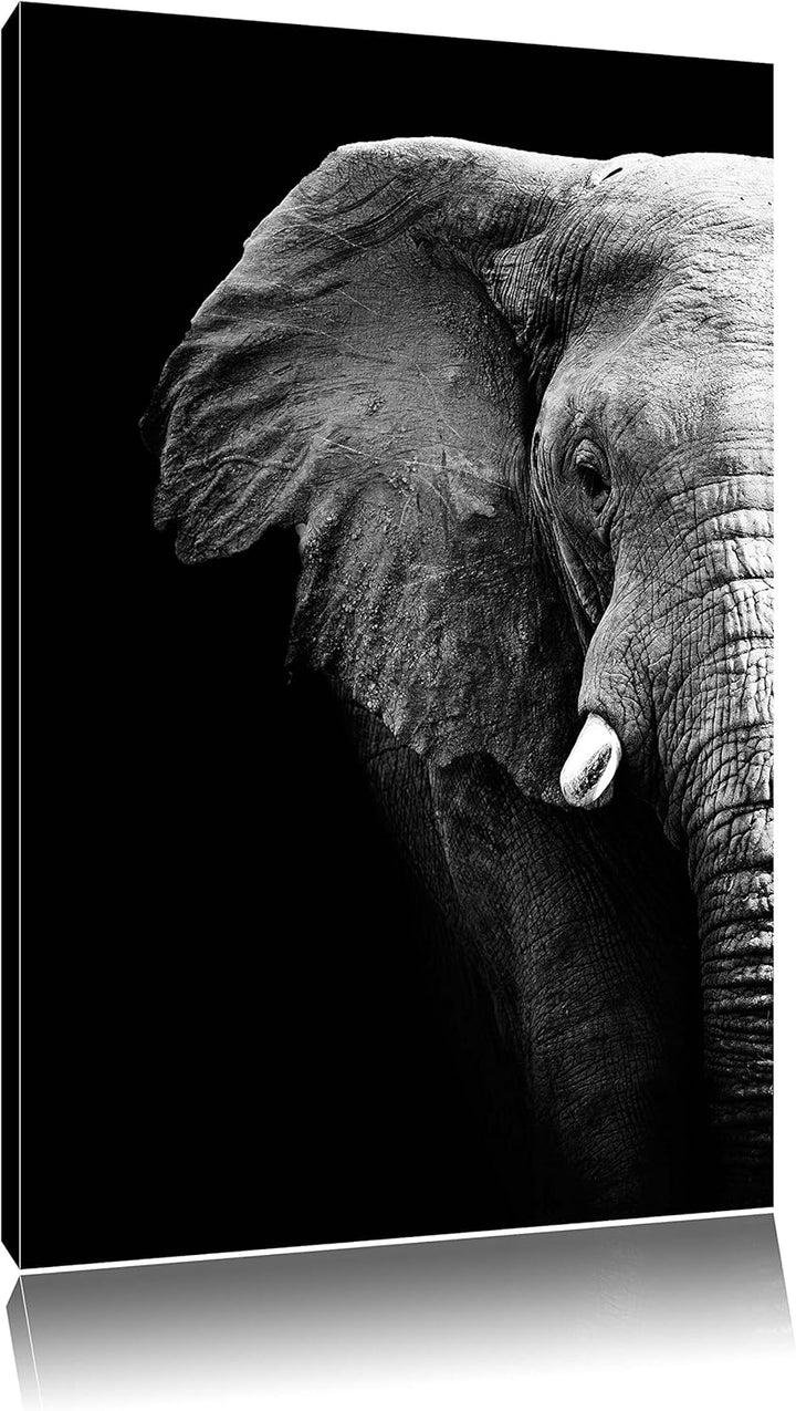 Pixxprint Elefant Porträt Format: 100x70 auf Leinwand, XXL riesige Bilder fertig gerahmt mit Keilrah