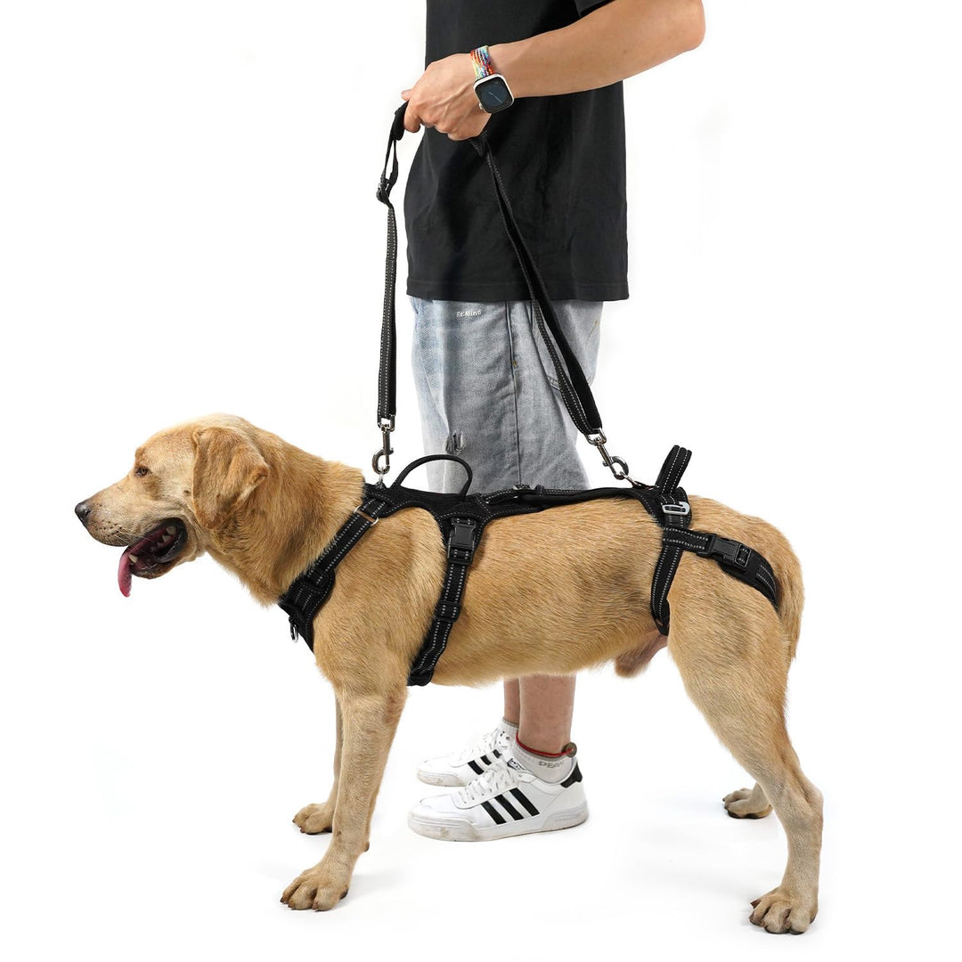 COODEO Hundefördergurt, Tragsack & Gehhilfe für Hunde, Hinterbein-Rehabilitationsweste, Transportgur