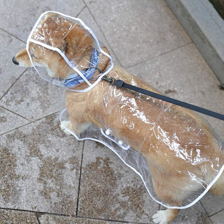 KoKoBin Reflektierender Mantel für Hunde und Katzen mit Kapuze, verstellbar, PVC, transparent, wasse