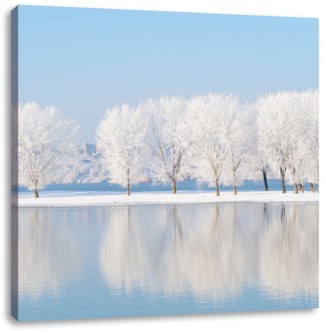 Pixxprint Schneebedeckte Bäume im Winter, Format: 70x70 auf Leinwand, 70x70