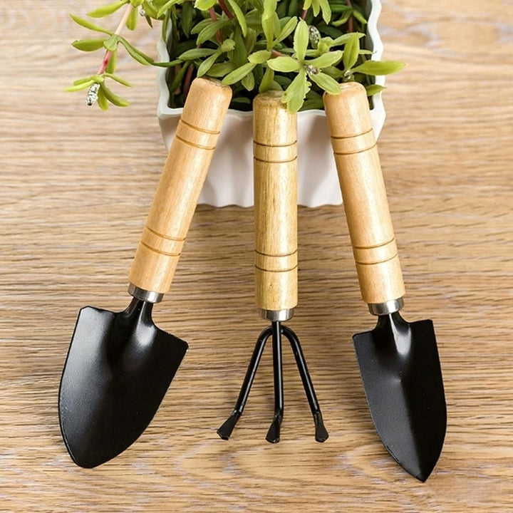 3 Stücke Mini Gartengeräte Set, Gartenschaufel Gartenwerkzeug Spaten Und Schaufel, Sukkulenten-Werkz