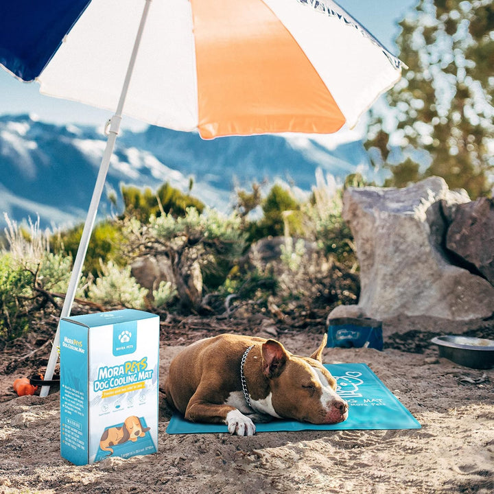 Pawtasy Kühlmatte für Hund, Kühldecke Hunde, Kühlkissen mit Ungiftiges Gel für Grosse Mittelgrosse H
