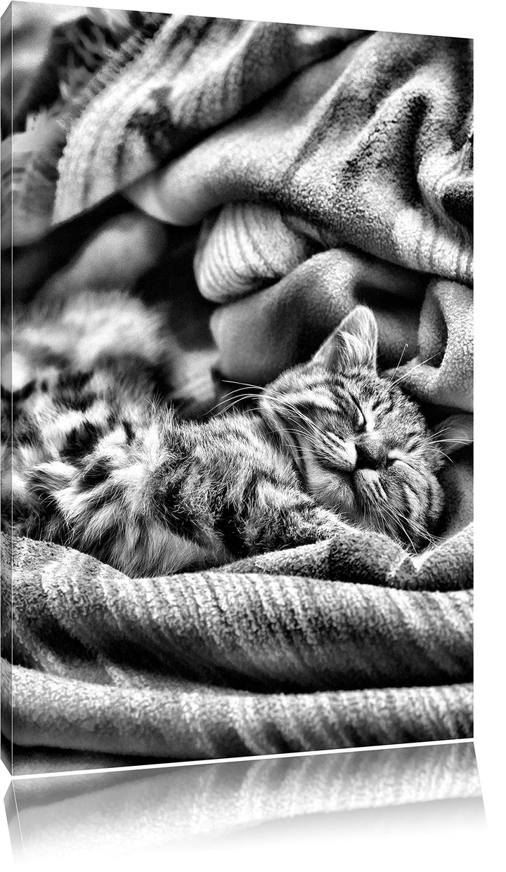 Monocrome, Babykatze, Format: 100x70 auf Leinwand, XXL riesige Bilder fertig gerahmt mit Keilrahmen,