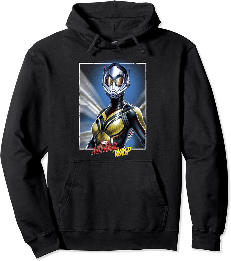 Marvel Ant-Man And The Wasp Simple Framed Portrait Pullover Hoodie