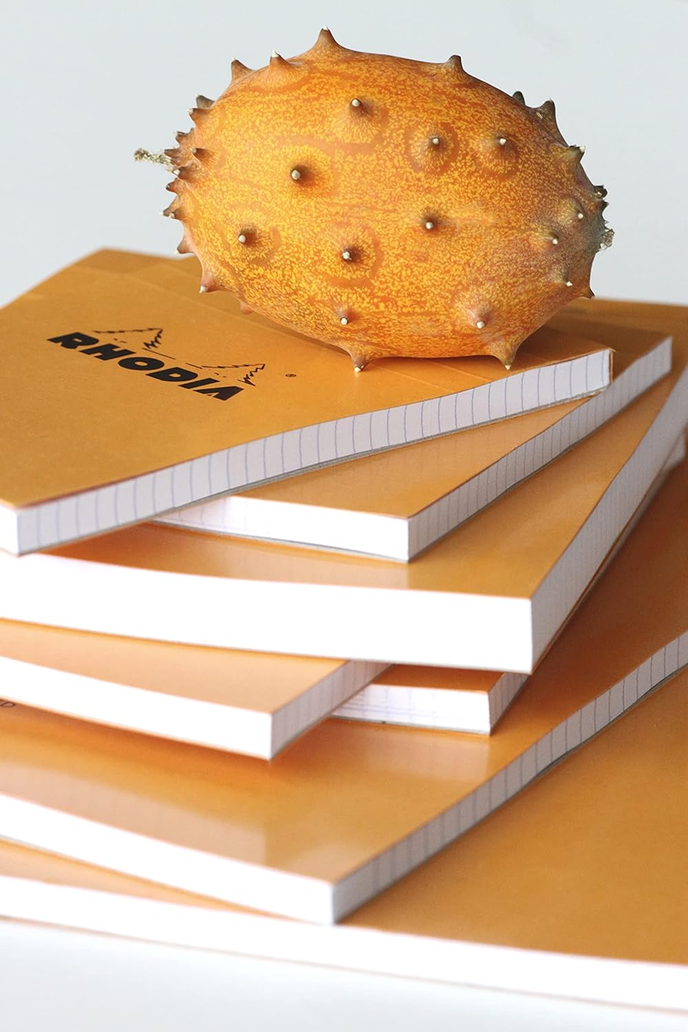 Rhodia 19600C - Packung mit 5 Notizblöcken geheftet No.19 A4+ 21x31,8cm 80 Blätter liniert mit Rand