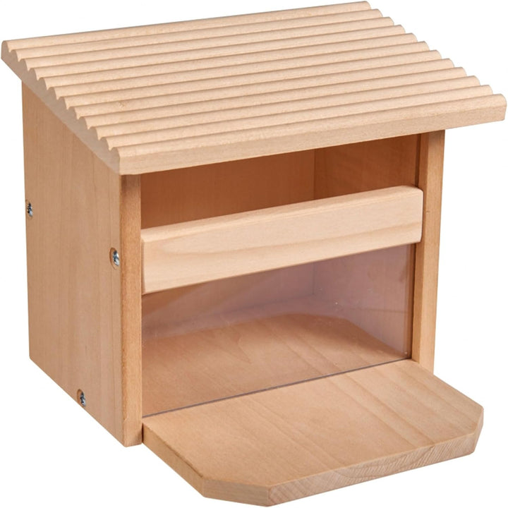 Eichhorn - Outdoor Futterhaus - Eichhörnchen Futterhaus zum Zusammenbauen und Bemalen, inkl. Pinsel