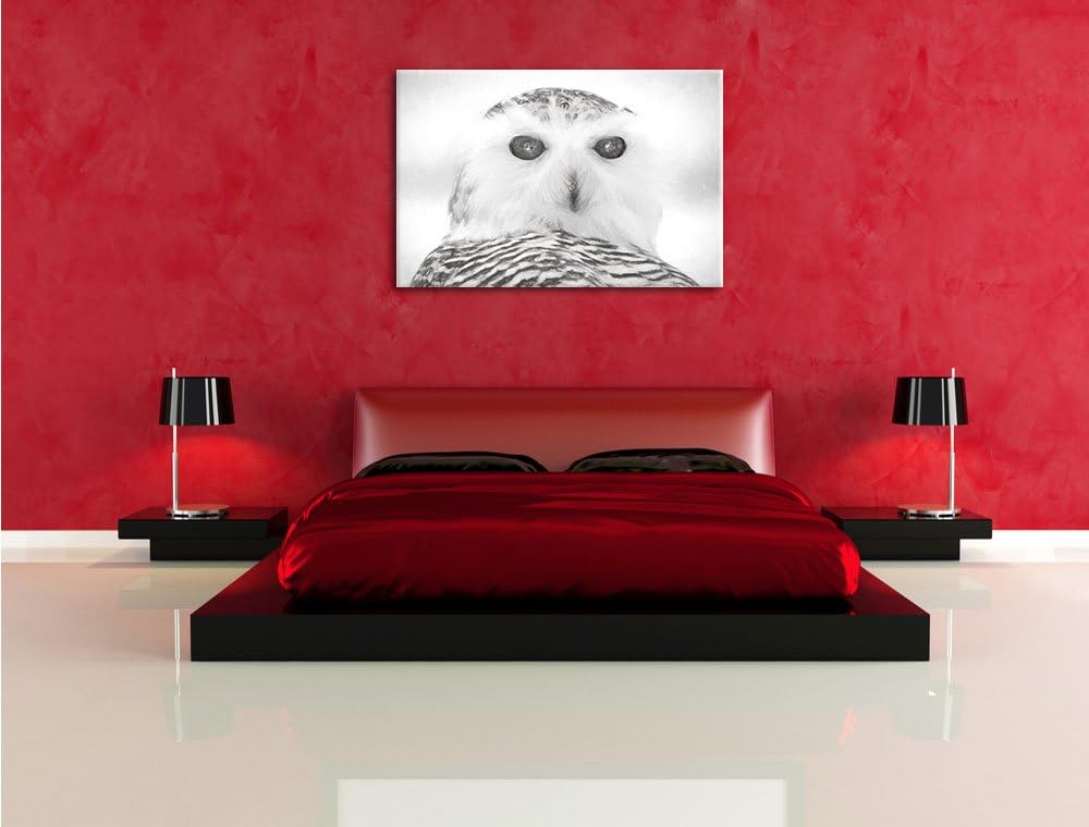 Schnee-Eule Kohle Effekt, Format: 100x70 auf Leinwand, XXL riesige Bilder fertig gerahmt mit Keilrah