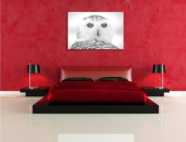 Schnee-Eule Kohle Effekt, Format: 100x70 auf Leinwand, XXL riesige Bilder fertig gerahmt mit Keilrah