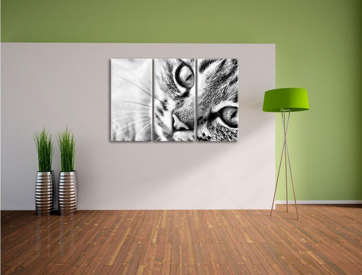 Pixxprint Grosse Katzenaugen als Leinwandbild | Grösse: 3 Teilig (120x80) | Wandbild| Kunstdruck | f